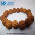 GELANG BIJI GANITRI [ GELANG-MS180315 ]